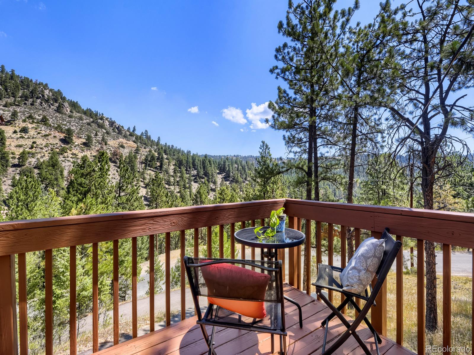 MLS Image #20 for 1423  roland drive,bailey, Colorado
