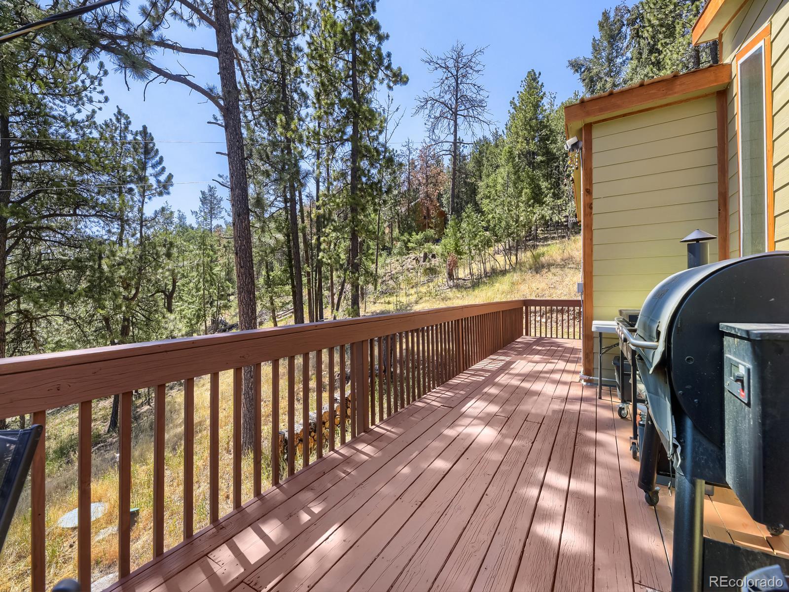 MLS Image #22 for 1423  roland drive,bailey, Colorado