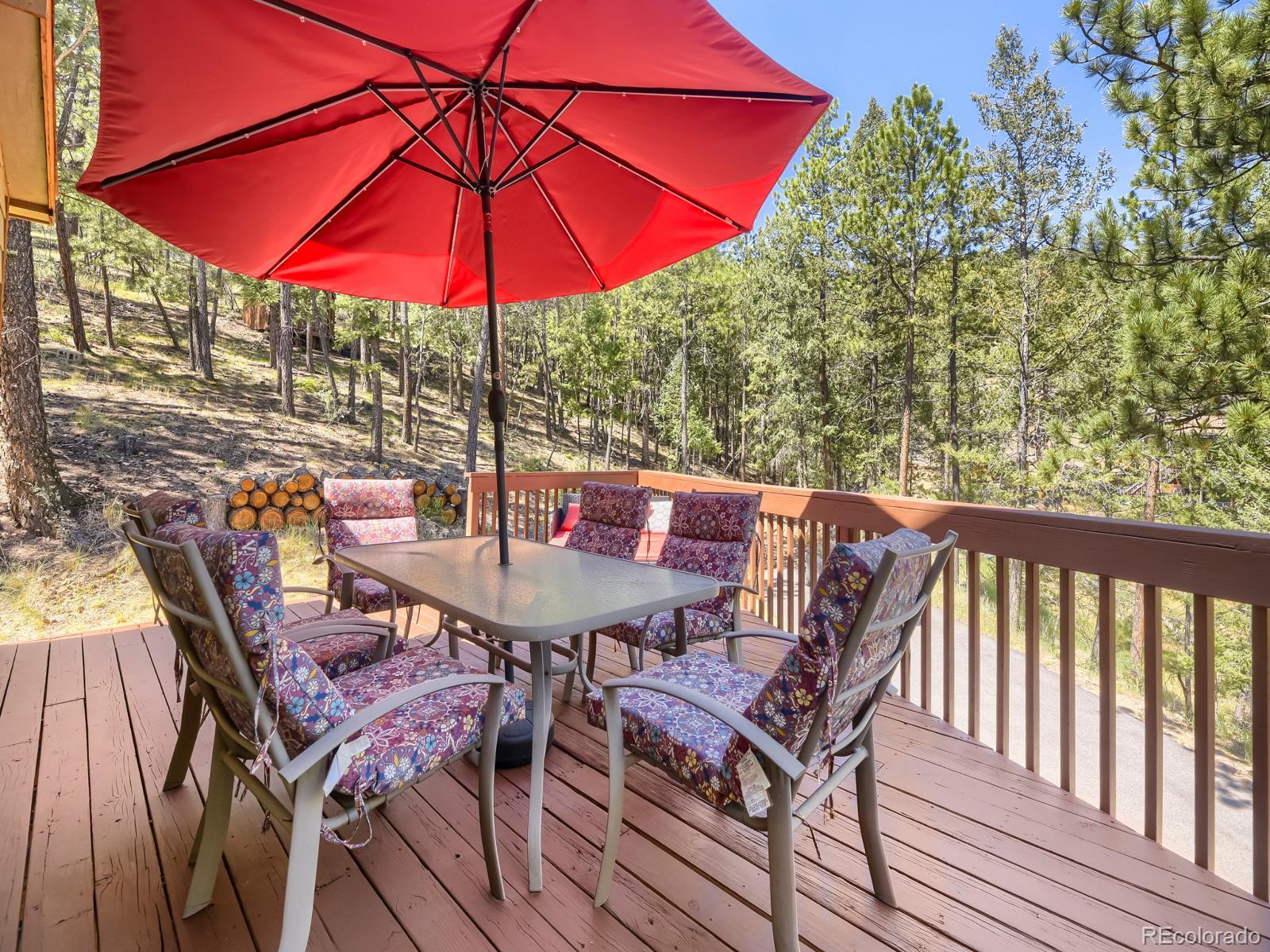 MLS Image #23 for 1423  roland drive,bailey, Colorado