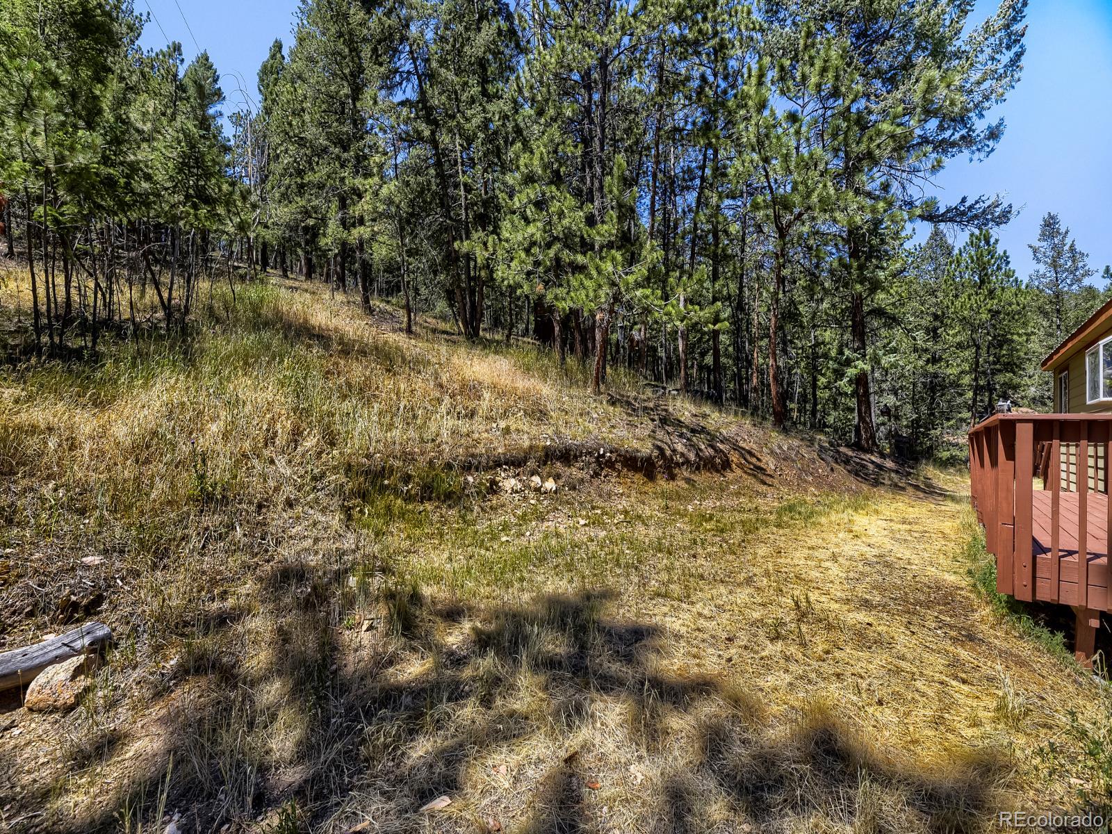 MLS Image #24 for 1423  roland drive,bailey, Colorado
