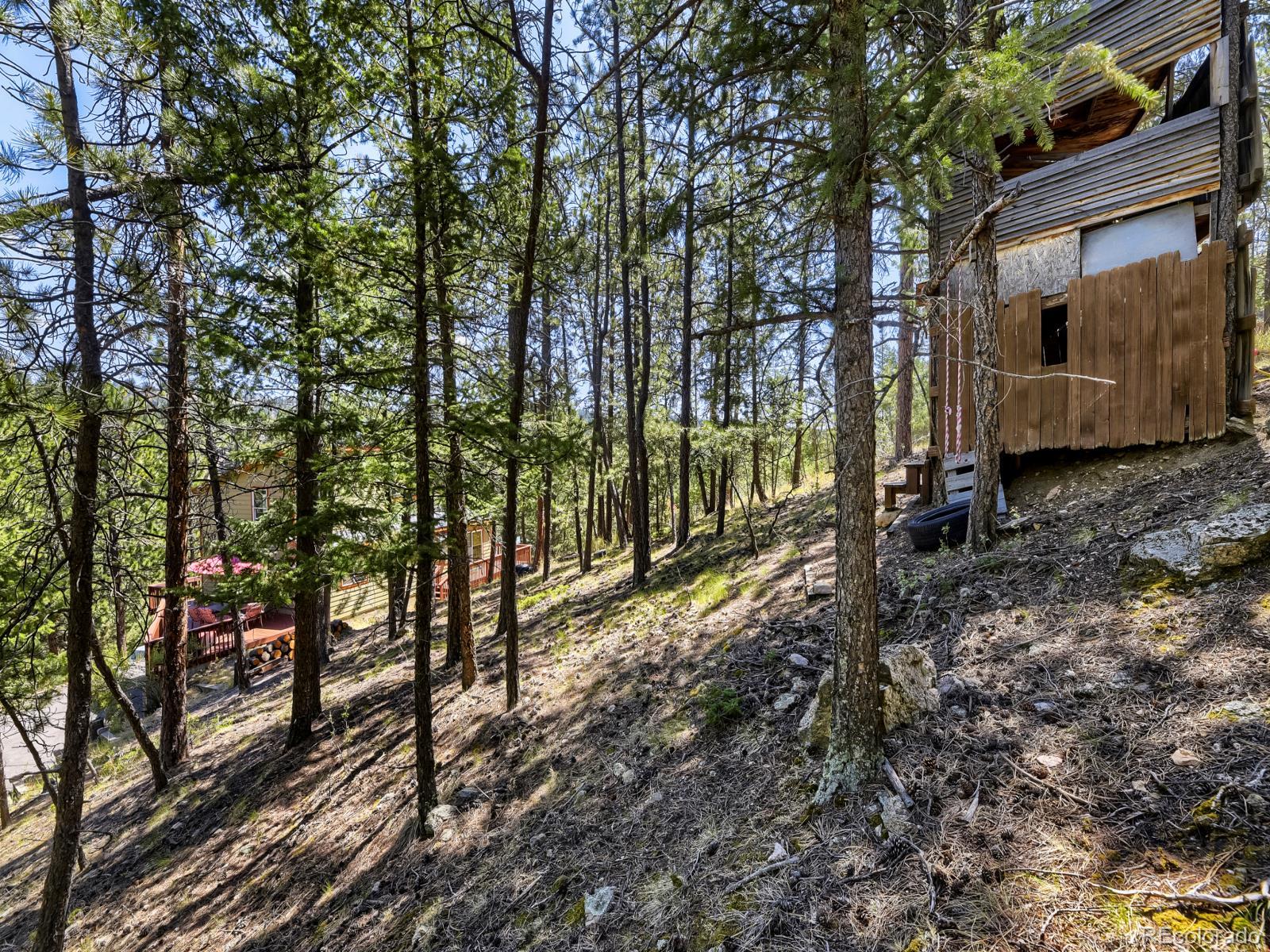 MLS Image #26 for 1423  roland drive,bailey, Colorado