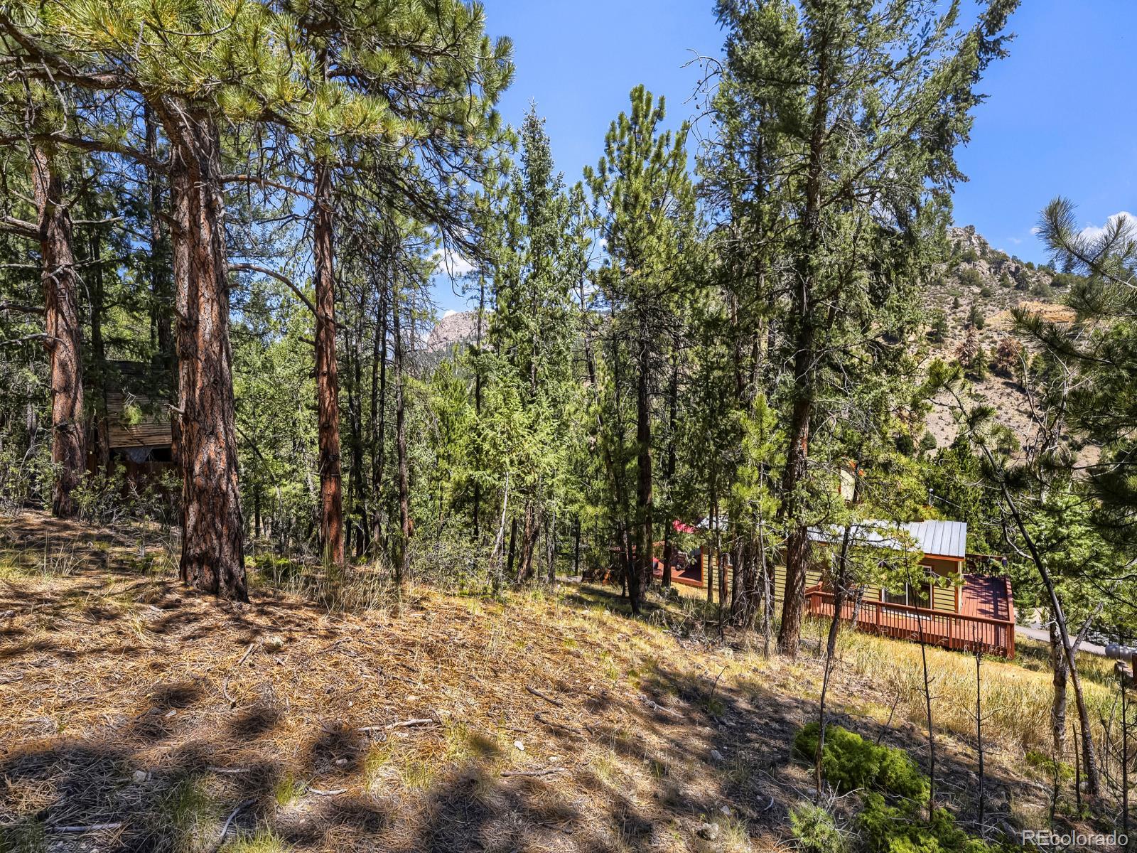 MLS Image #27 for 1423  roland drive,bailey, Colorado