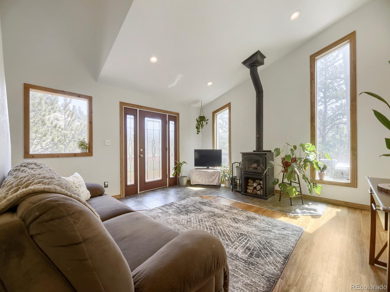 MLS Image #4 for 1423  roland drive,bailey, Colorado