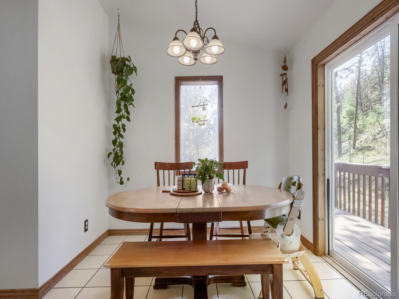 MLS Image #5 for 1423  roland drive,bailey, Colorado