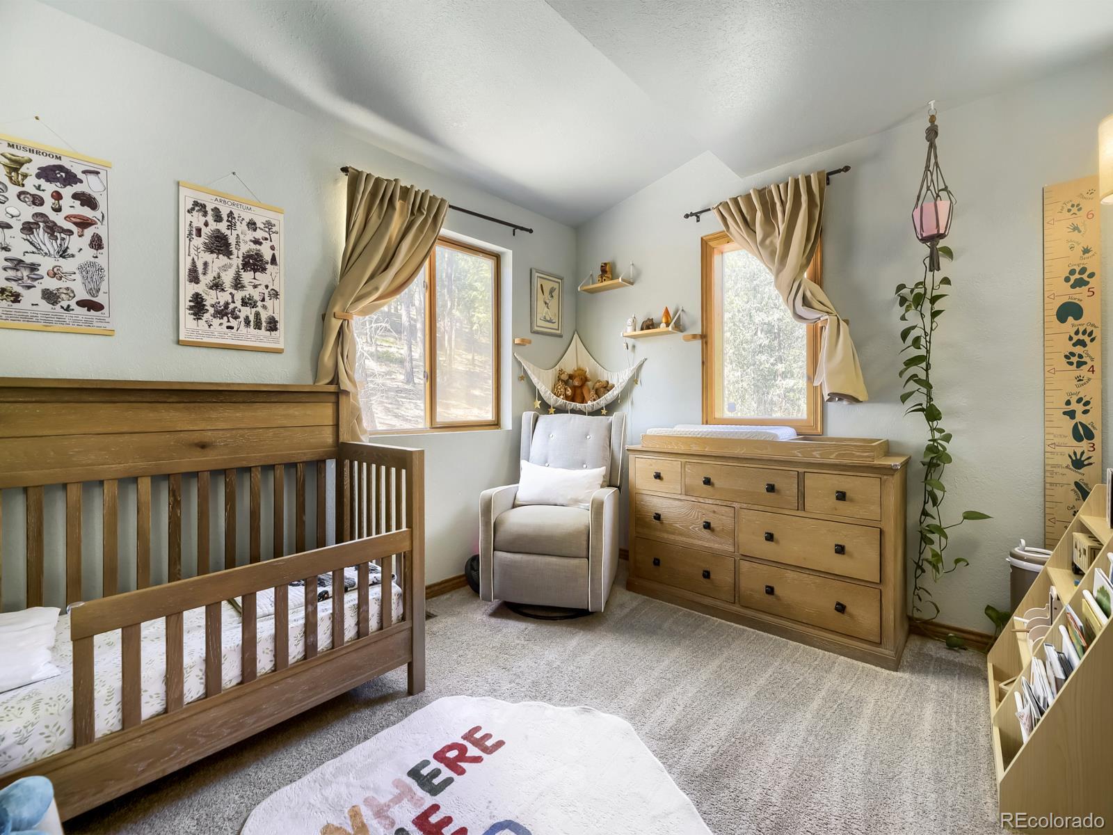 MLS Image #9 for 1423  roland drive,bailey, Colorado