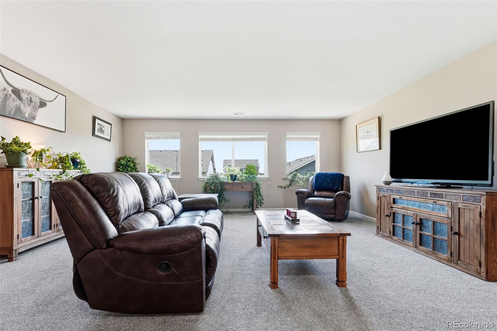 MLS Image #22 for 3677  schuman place,mead, Colorado