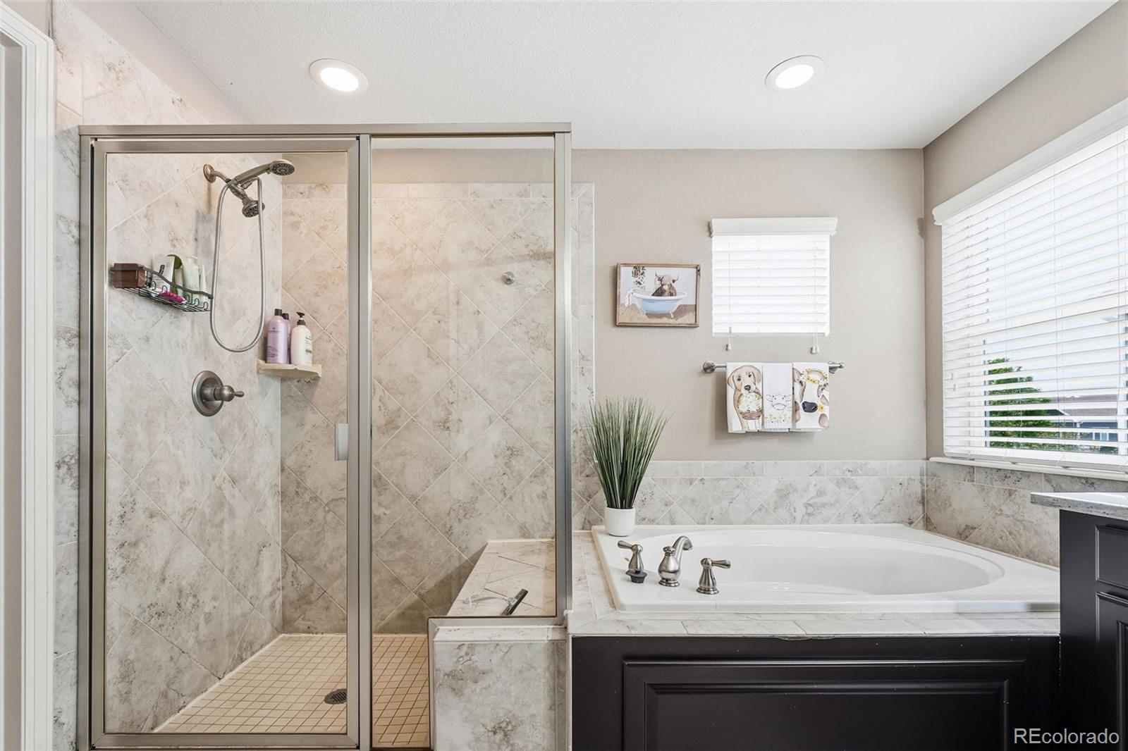 MLS Image #29 for 3677  schuman place,mead, Colorado