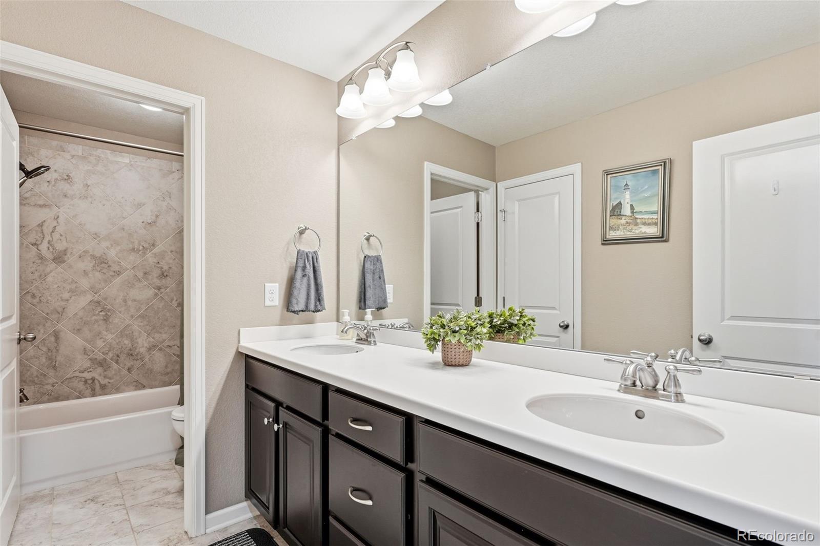 MLS Image #35 for 3677  schuman place,mead, Colorado