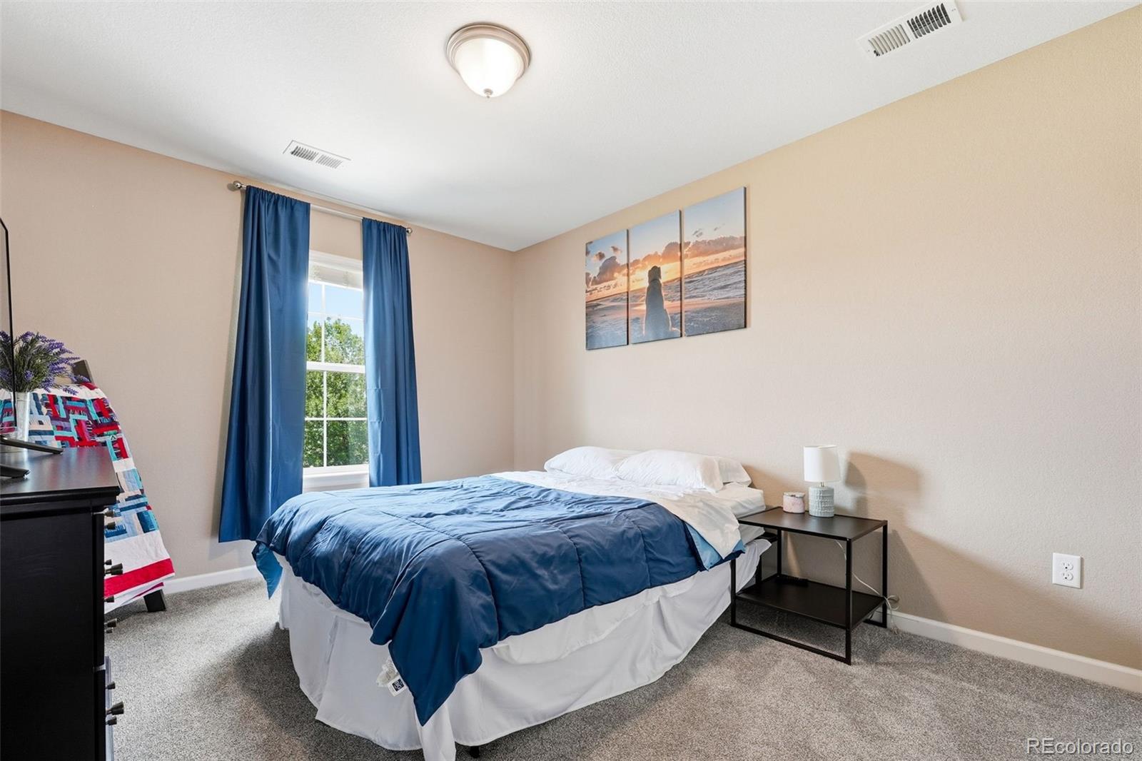MLS Image #39 for 3677  schuman place,mead, Colorado