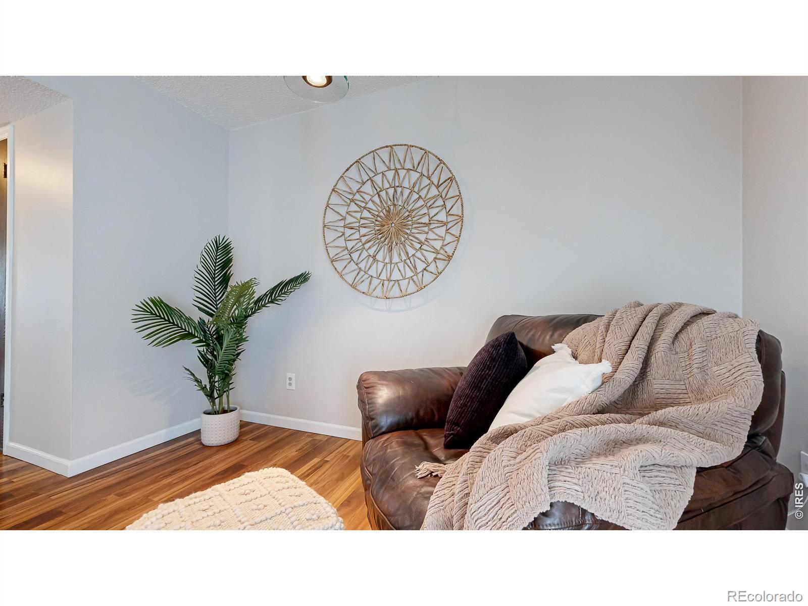 MLS Image #5 for 2924  ross drive,fort collins, Colorado