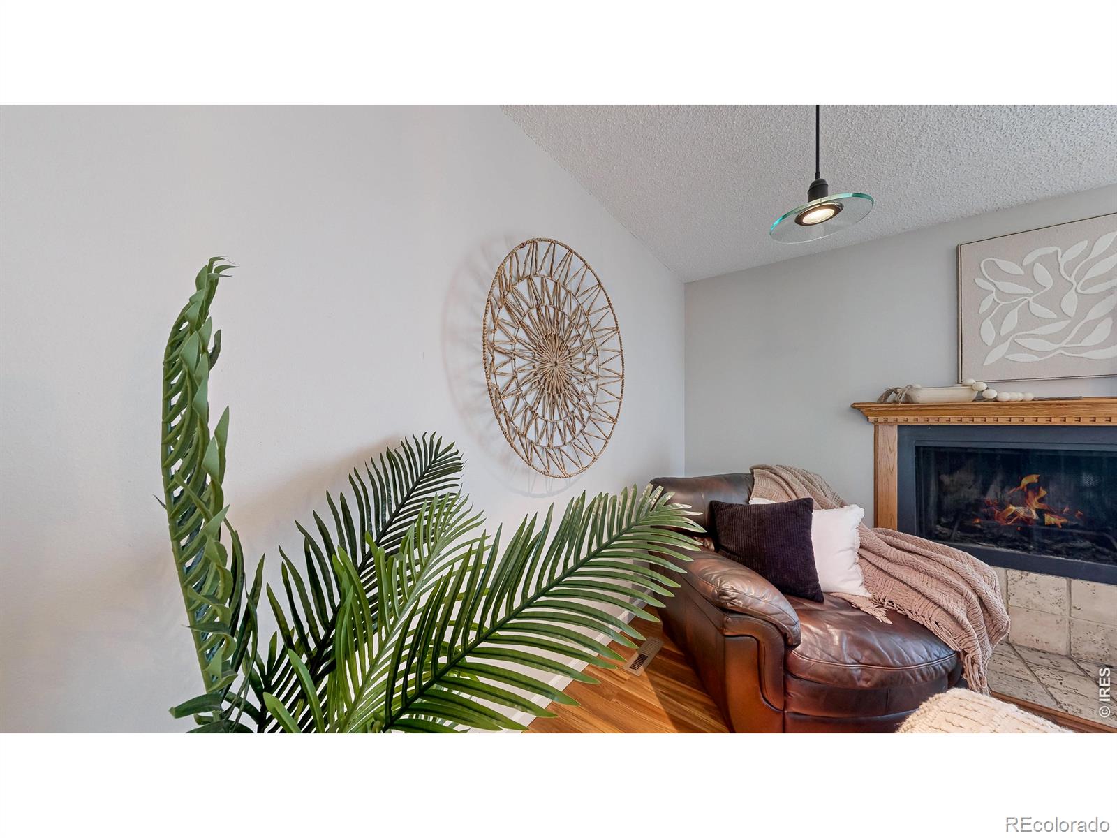 MLS Image #6 for 2924  ross drive,fort collins, Colorado