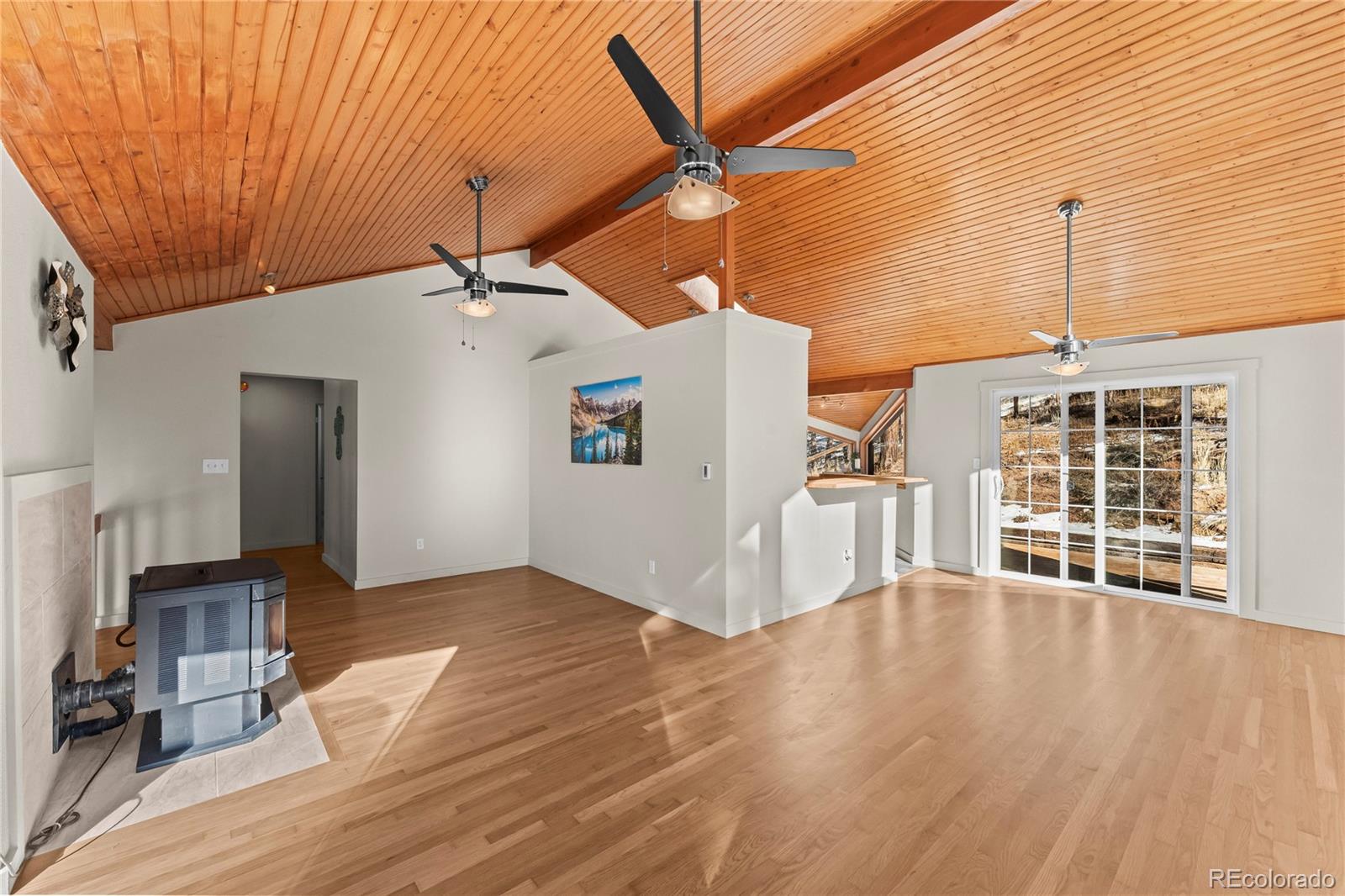 MLS Image #10 for 192 e ridge drive,woodland park, Colorado
