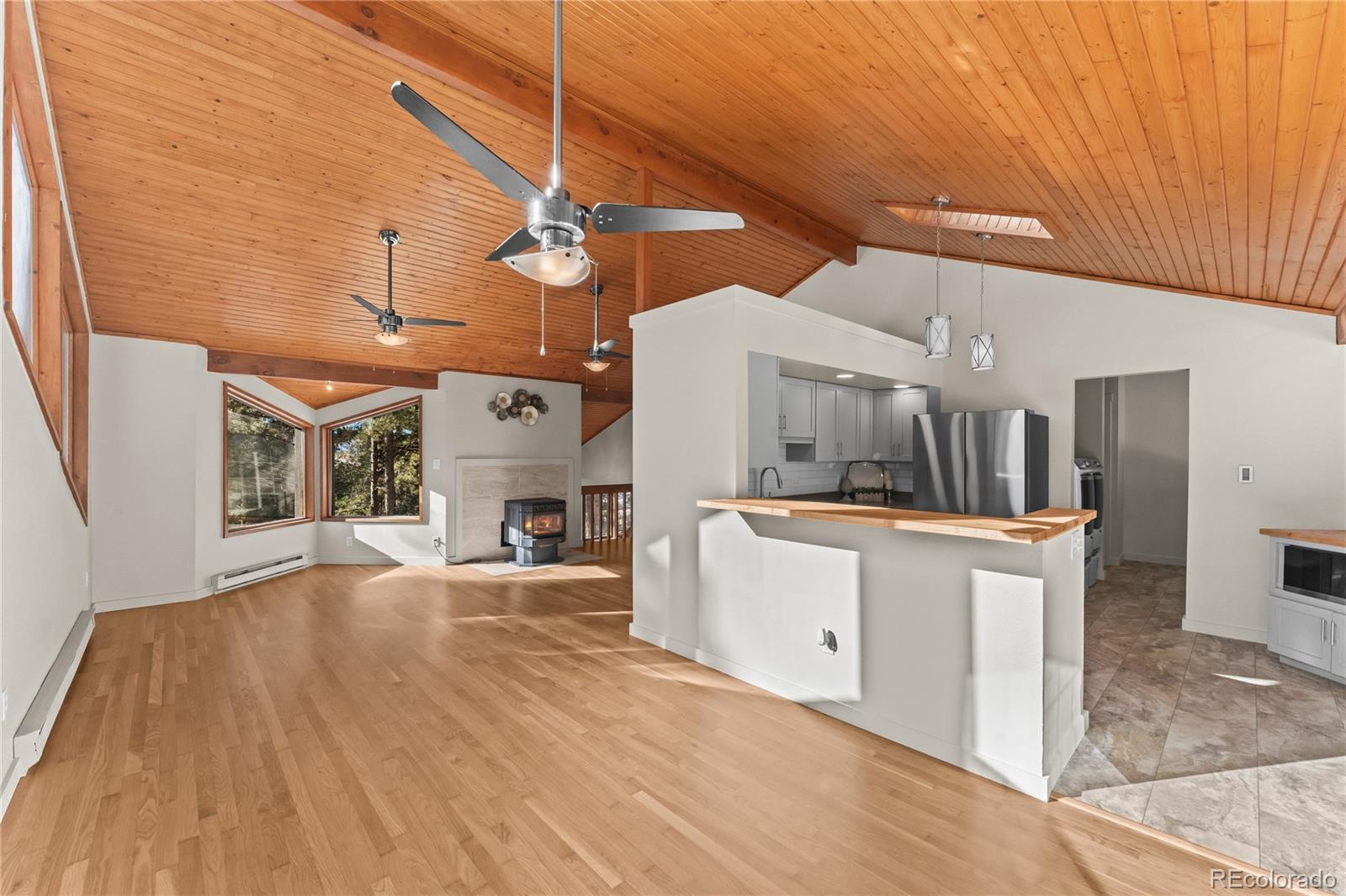 MLS Image #11 for 192 e ridge drive,woodland park, Colorado