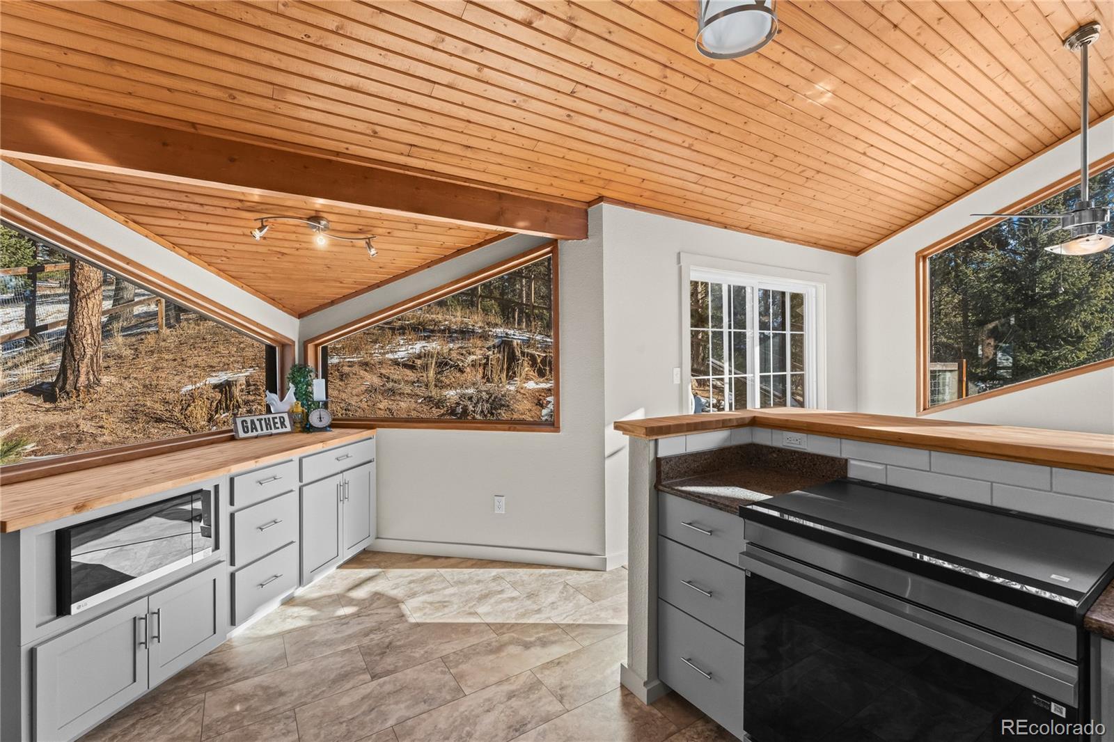 MLS Image #14 for 192 e ridge drive,woodland park, Colorado