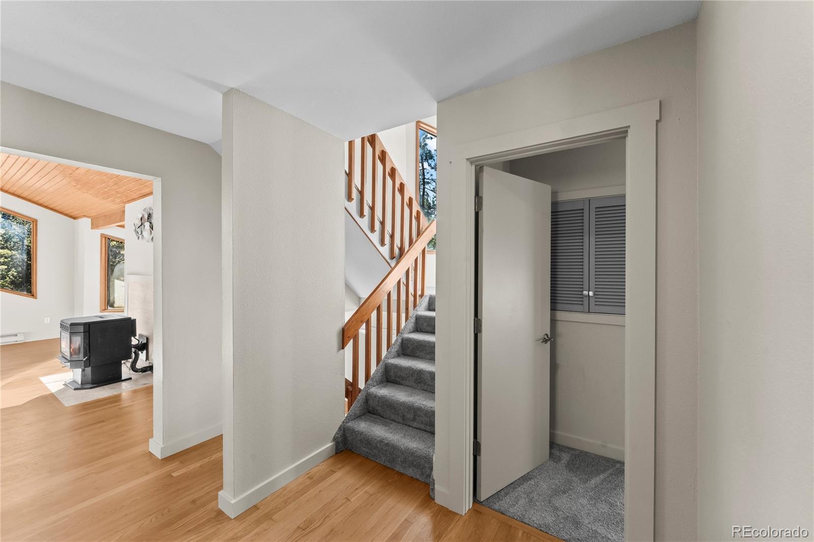 MLS Image #18 for 192 e ridge drive,woodland park, Colorado
