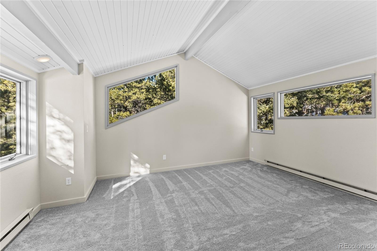 MLS Image #24 for 192 e ridge drive,woodland park, Colorado