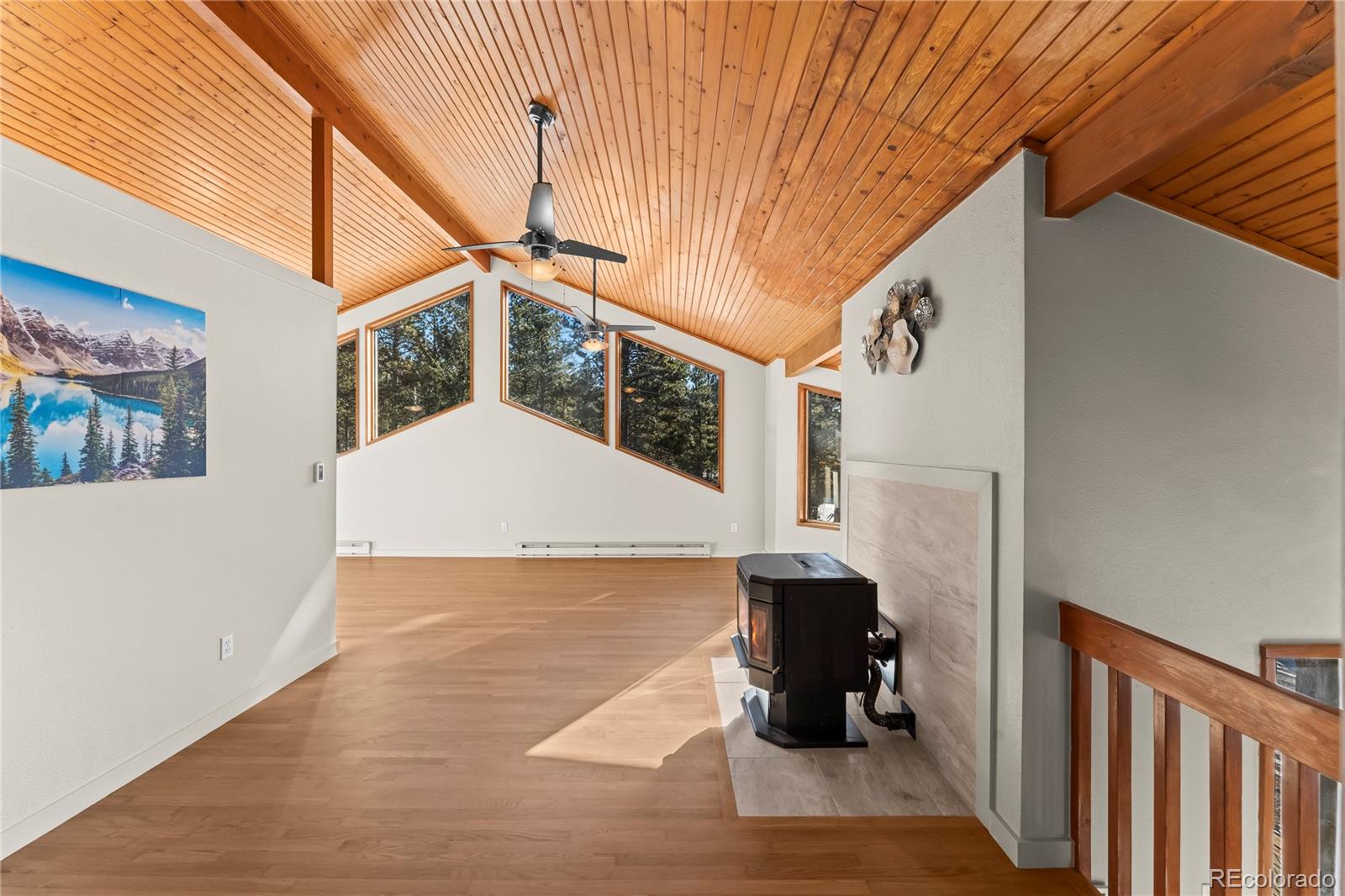 MLS Image #8 for 192 e ridge drive,woodland park, Colorado