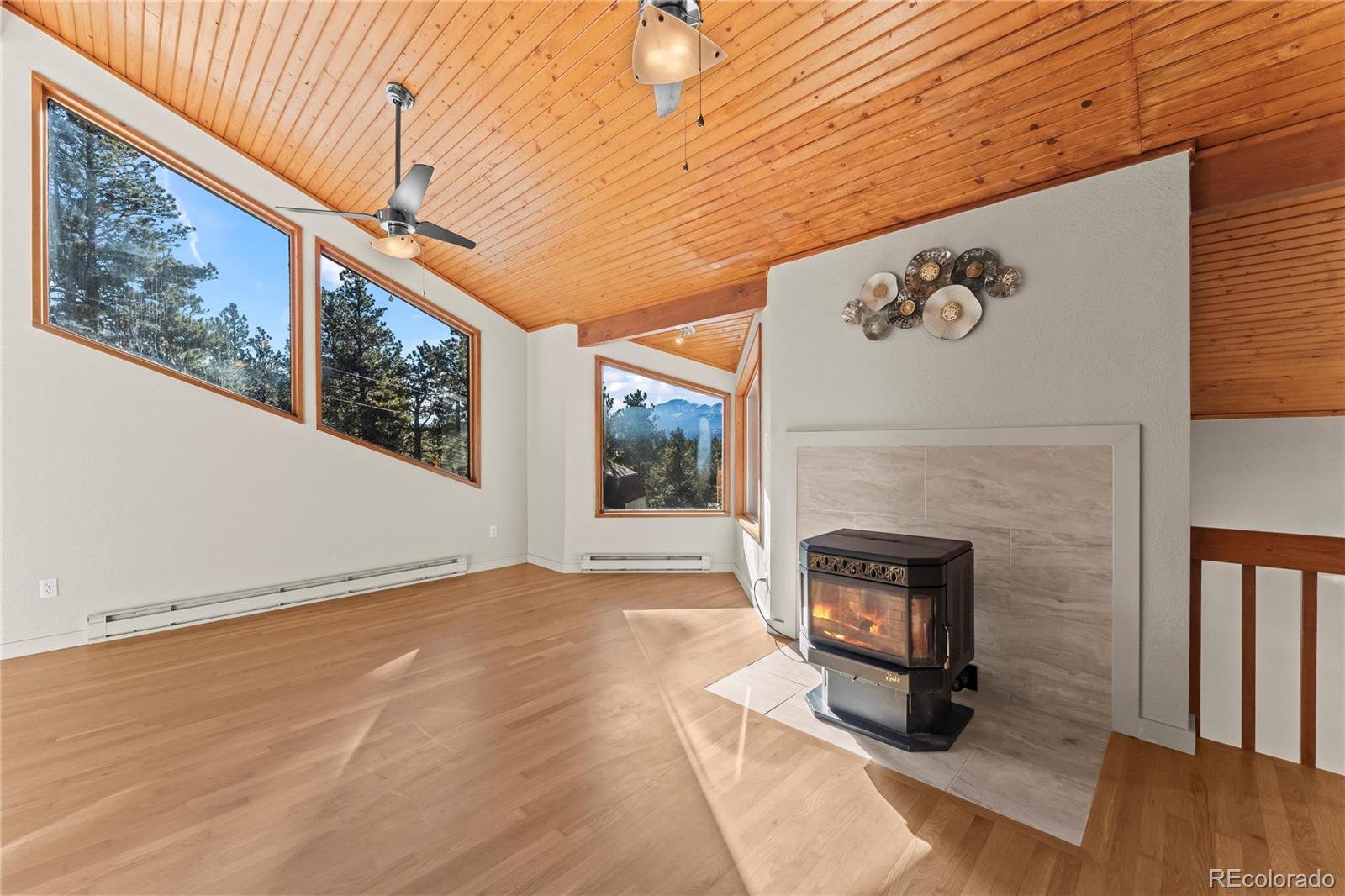 MLS Image #9 for 192 e ridge drive,woodland park, Colorado