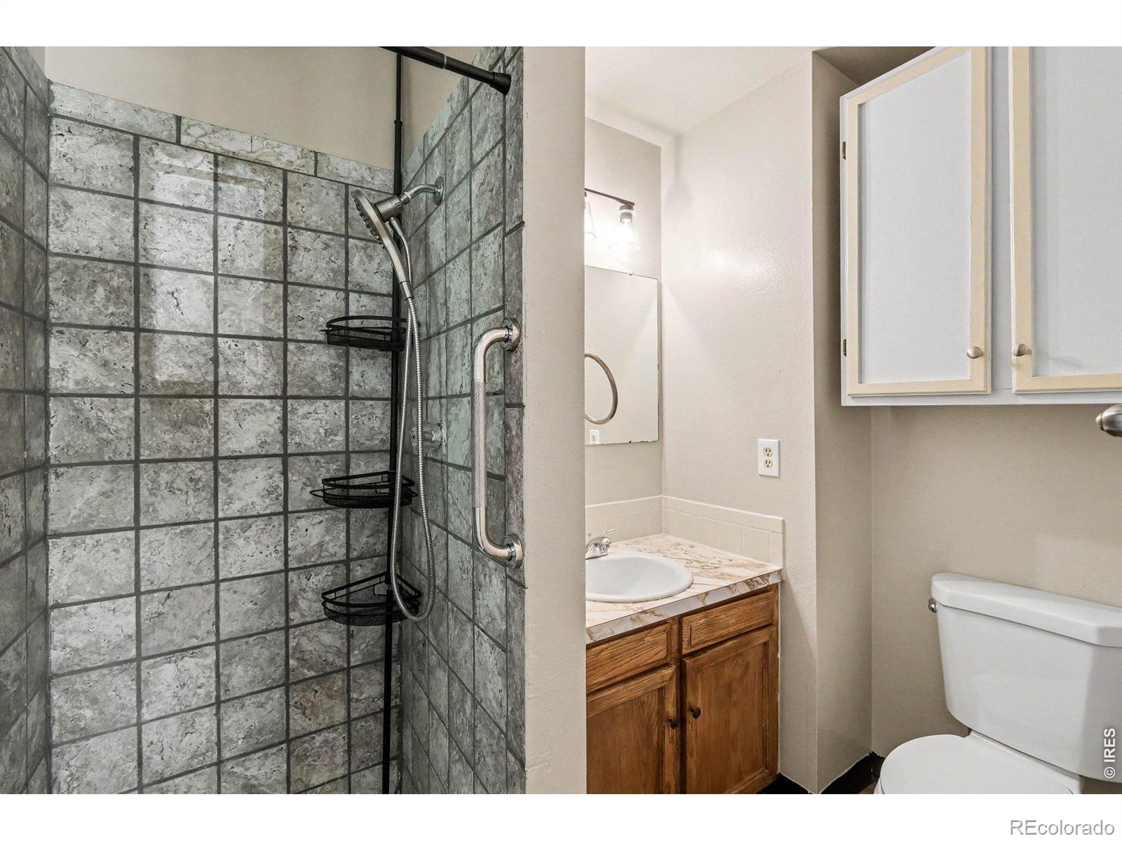 MLS Image #14 for 1320  garden circle,longmont, Colorado