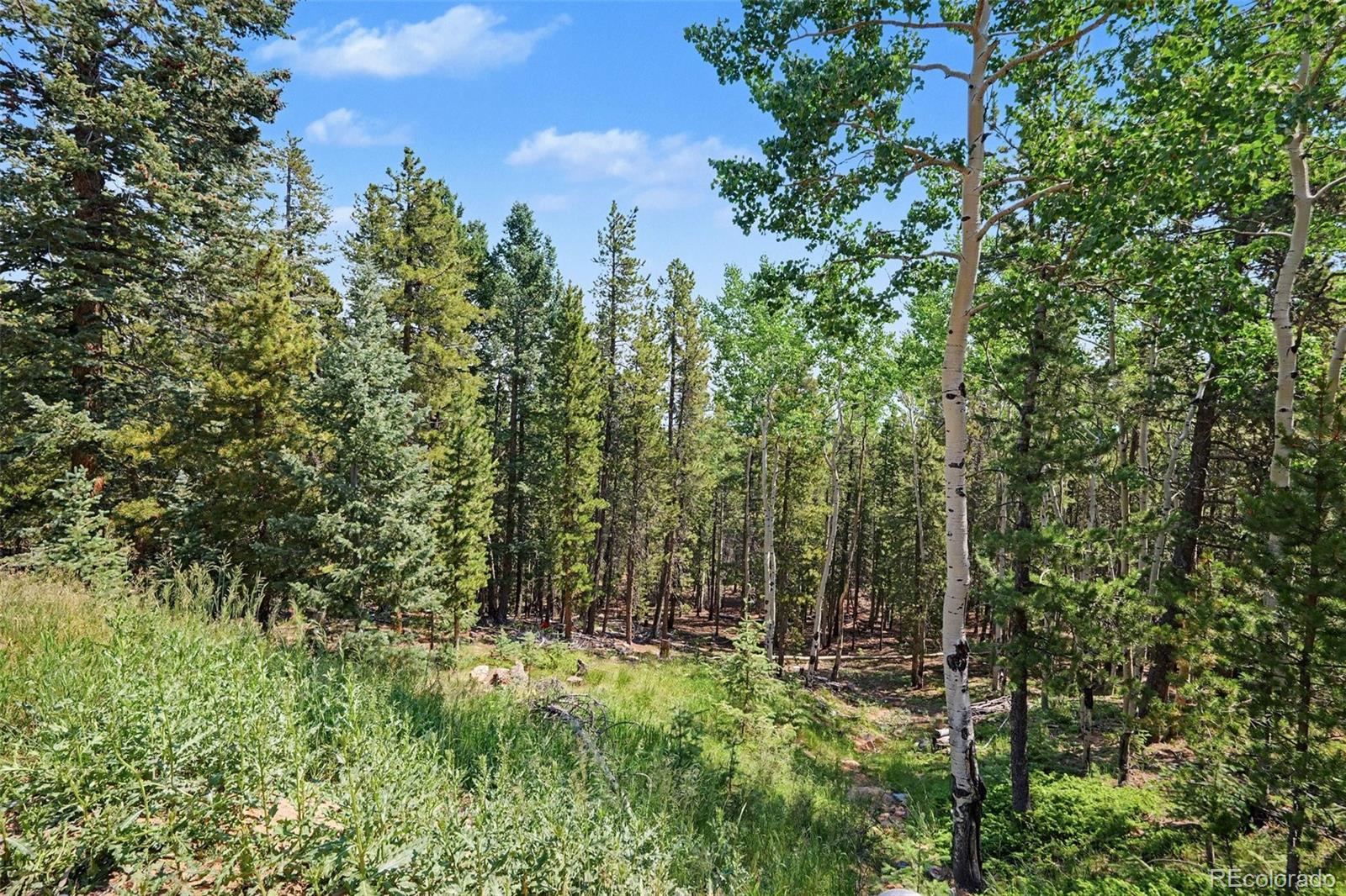 MLS Image #37 for 10742  timothys road,conifer, Colorado