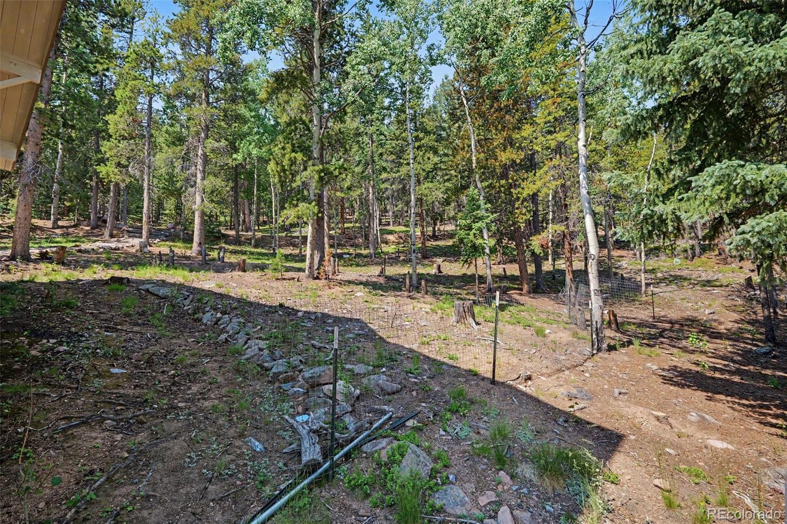 MLS Image #38 for 10742  timothys road,conifer, Colorado