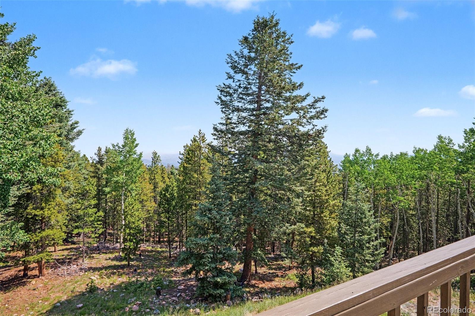 MLS Image #40 for 10742  timothys road,conifer, Colorado