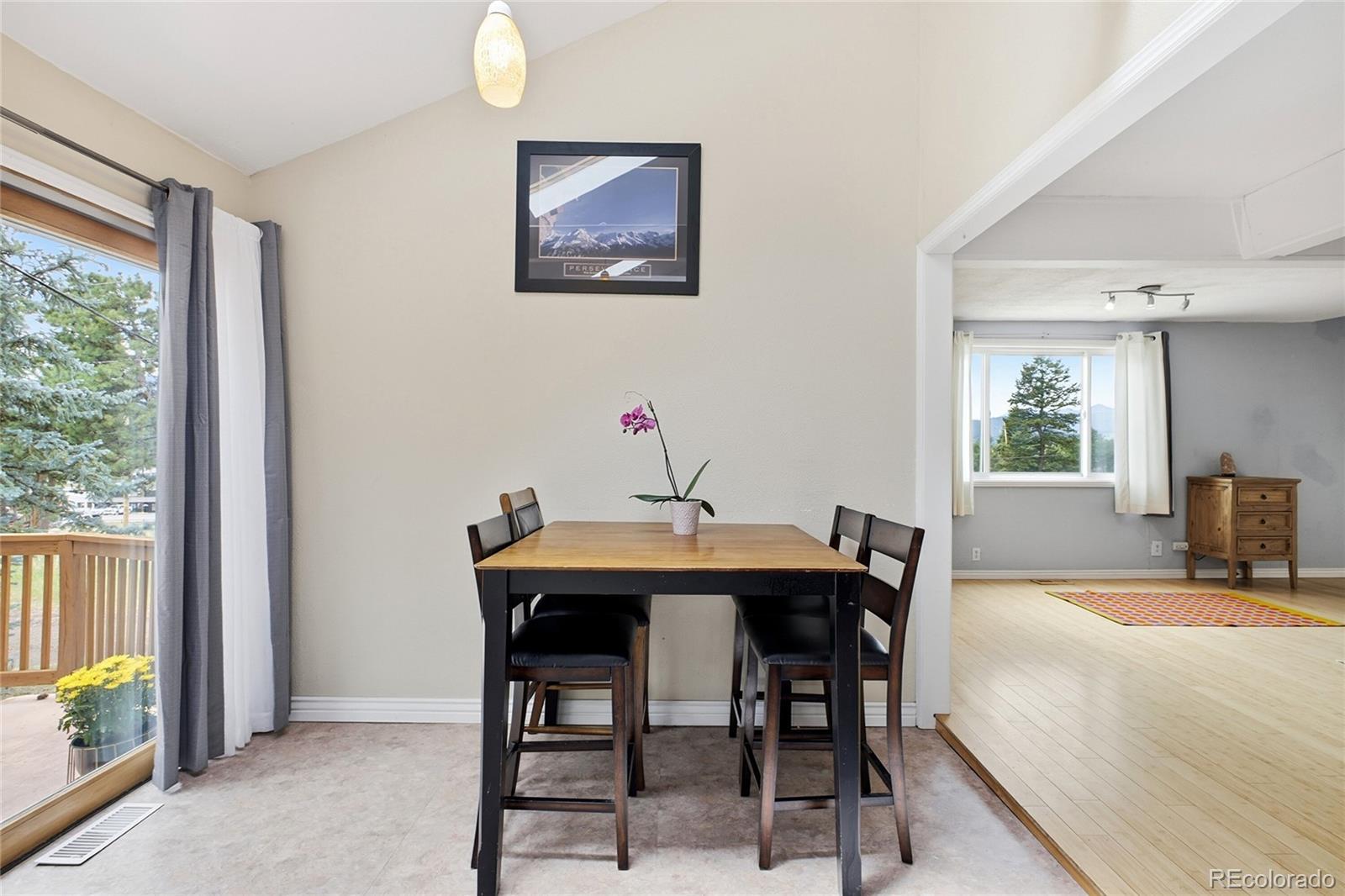 MLS Image #10 for 27083  pine drive,evergreen, Colorado