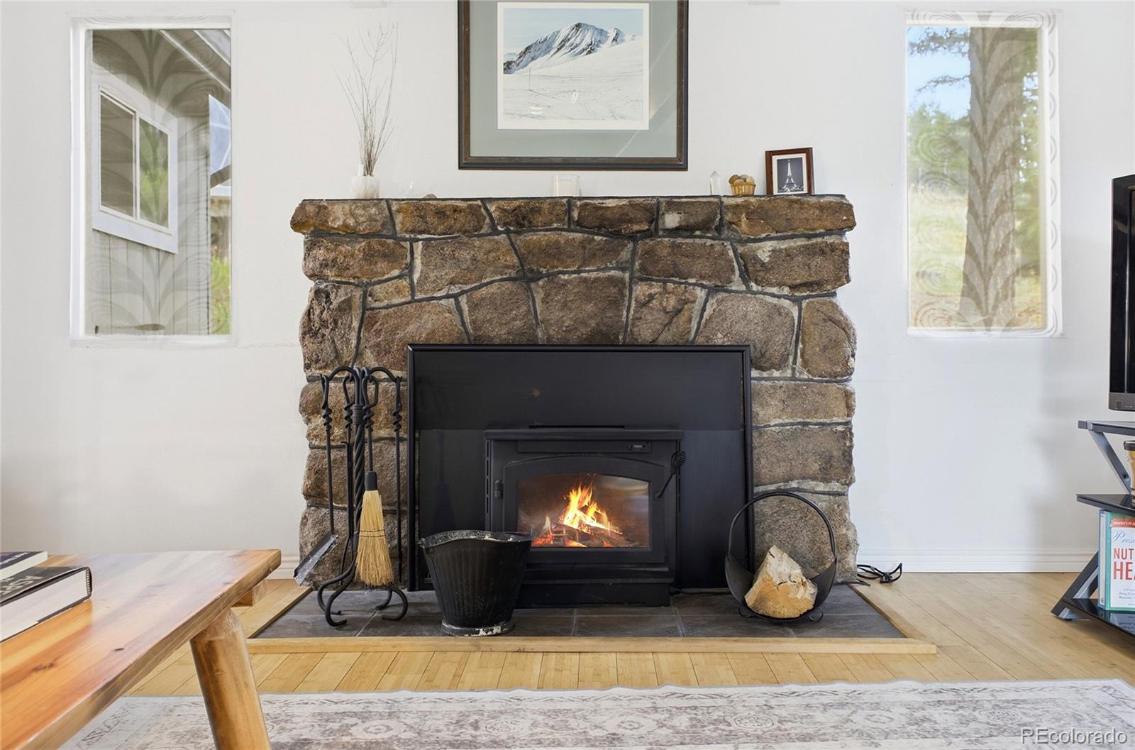 MLS Image #15 for 27083  pine drive,evergreen, Colorado