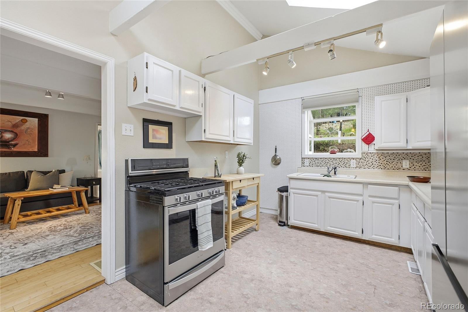 MLS Image #8 for 27083  pine drive,evergreen, Colorado