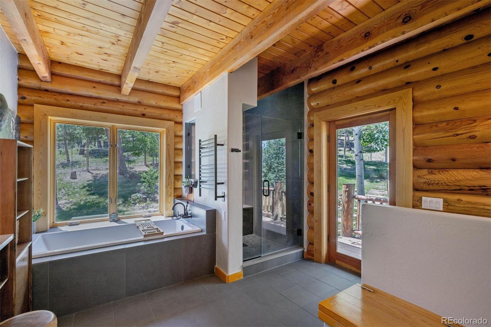 MLS Image #15 for 4620  forest hill road,evergreen, Colorado
