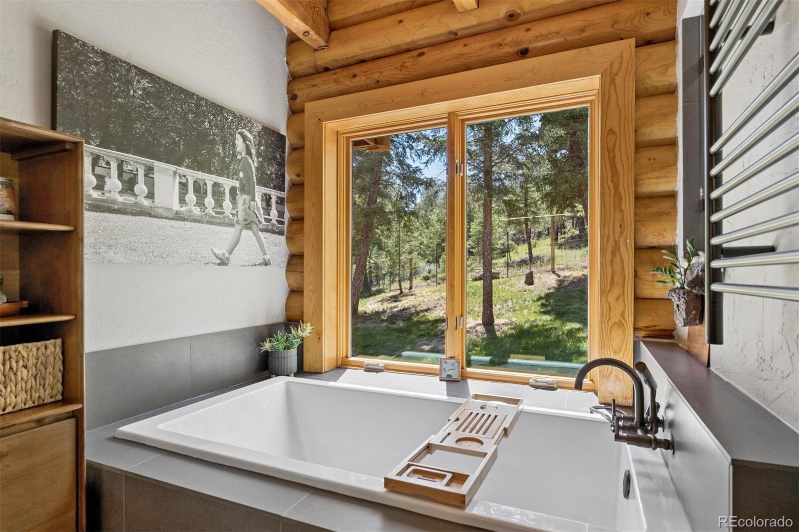 MLS Image #17 for 4620  forest hill road,evergreen, Colorado
