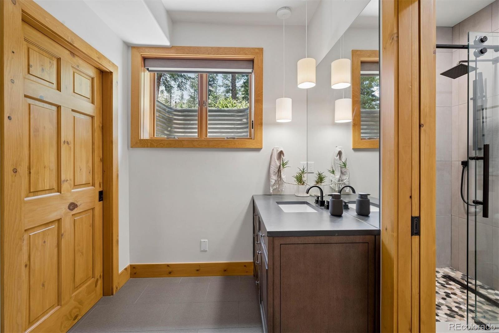 MLS Image #30 for 4620  forest hill road,evergreen, Colorado