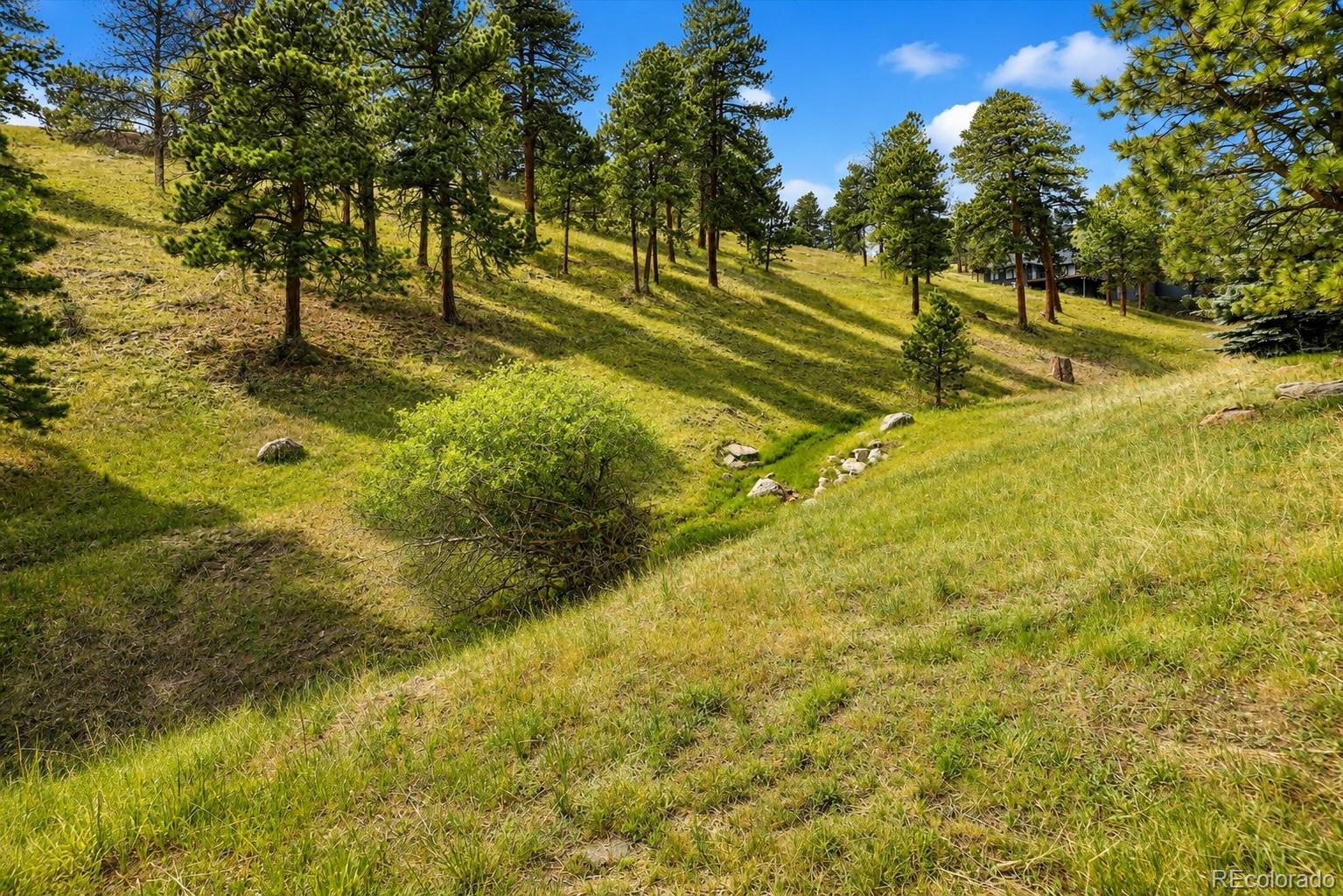 MLS Image #10 for 1107  preserve circle,golden, Colorado