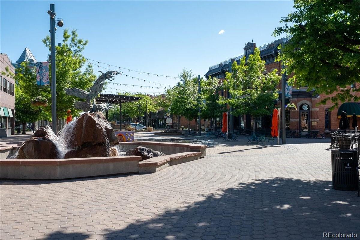 MLS Image #36 for 2900  ross drive,fort collins, Colorado