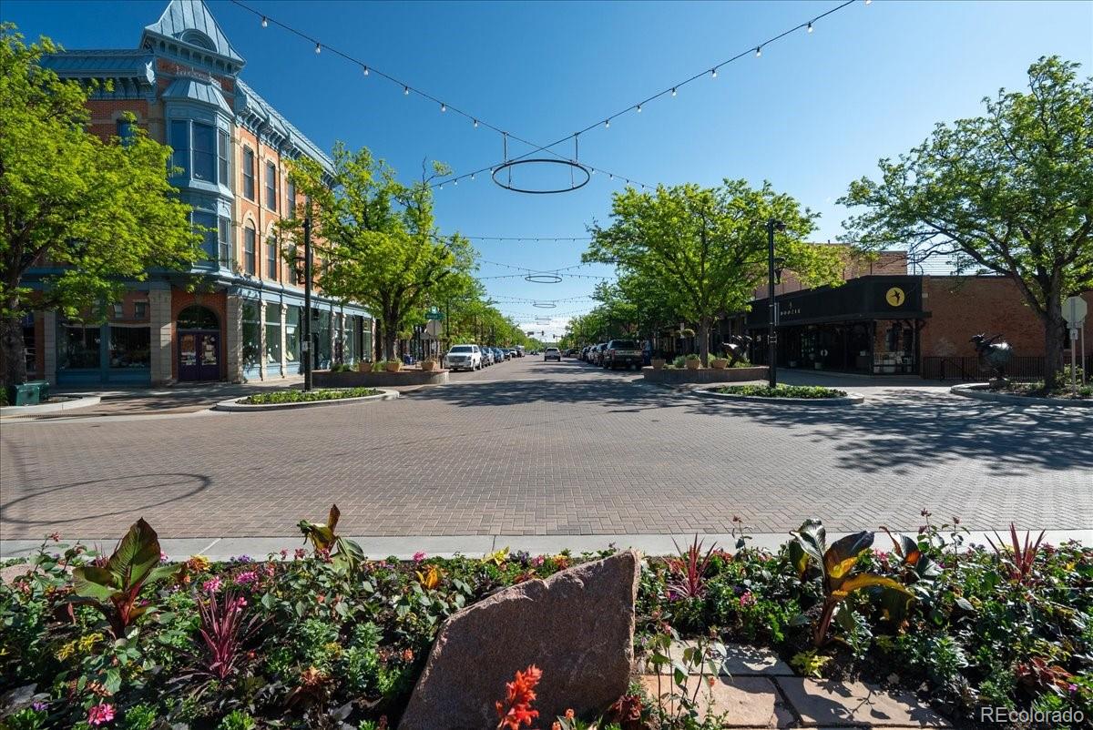 MLS Image #37 for 2900  ross drive,fort collins, Colorado
