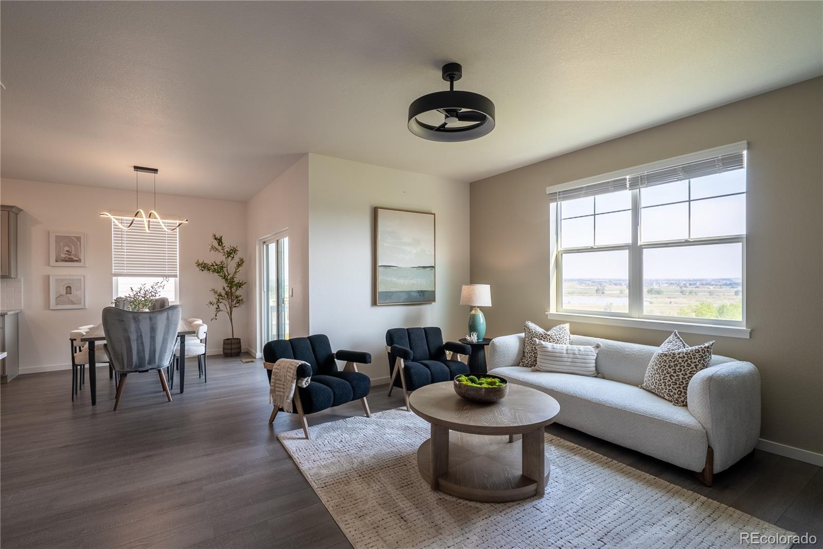 MLS Image #10 for 13602  topaz place,longmont, Colorado