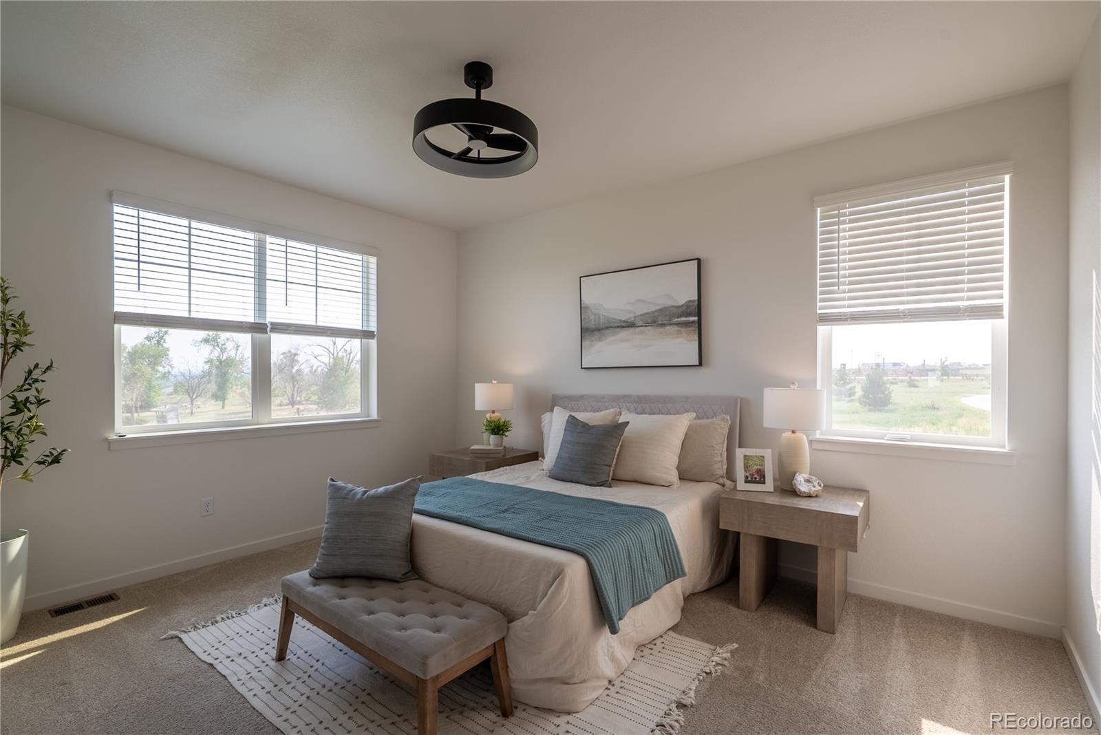 MLS Image #11 for 13602  topaz place,longmont, Colorado