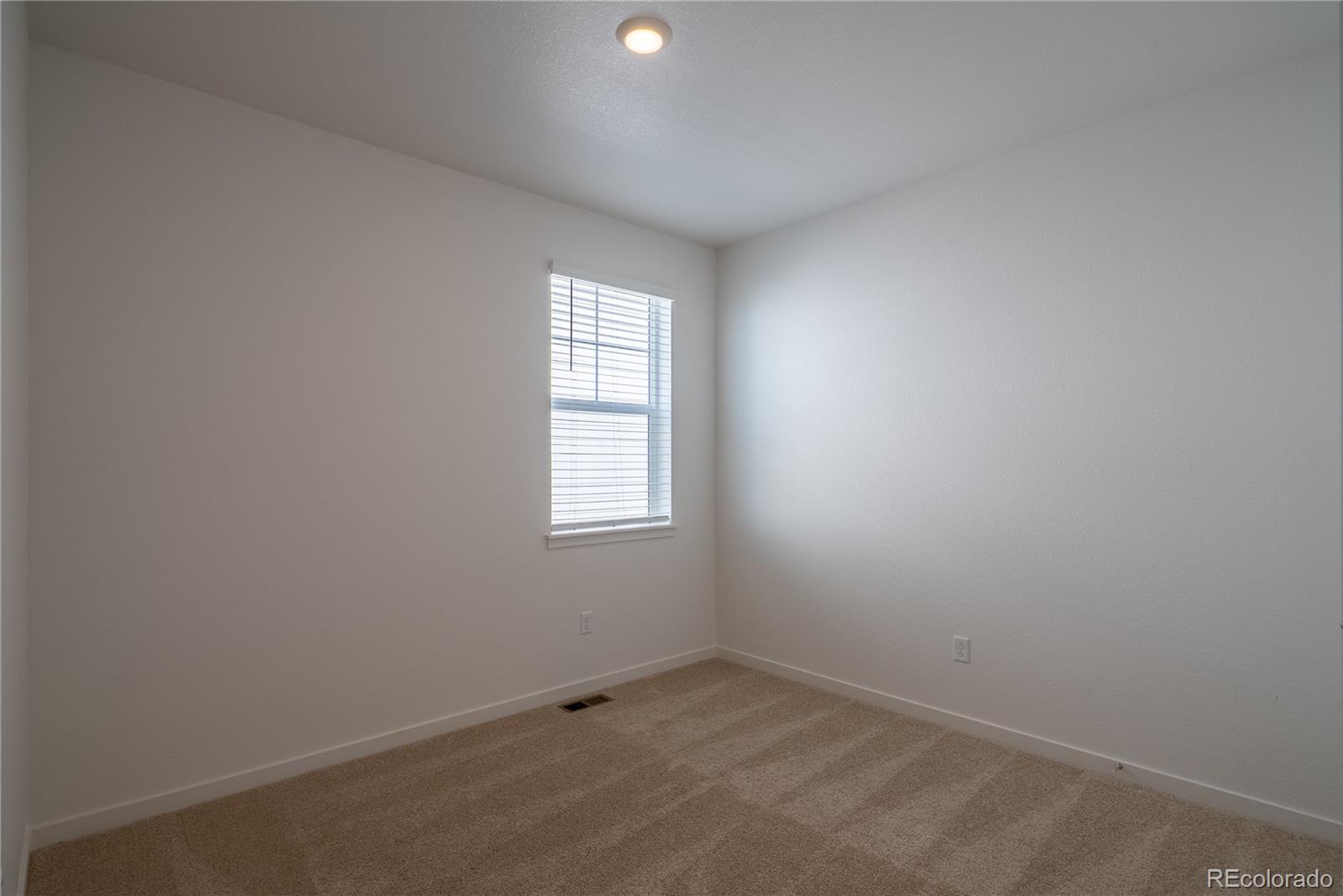 MLS Image #14 for 13602  topaz place,longmont, Colorado