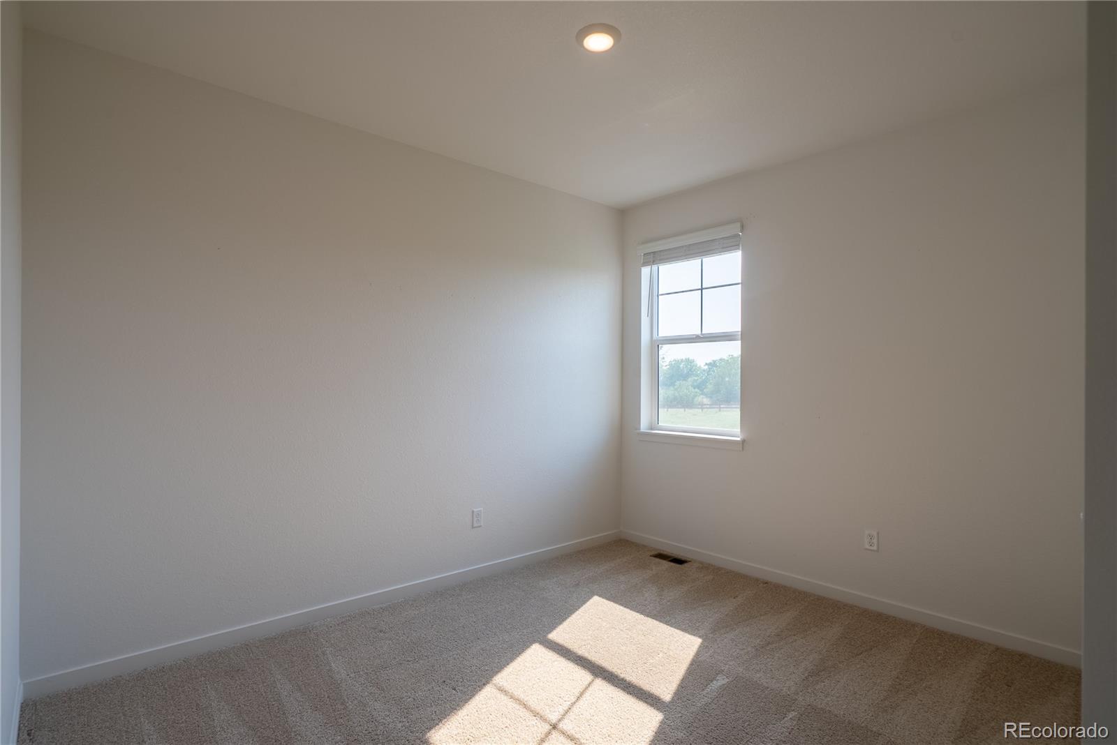 MLS Image #16 for 13602  topaz place,longmont, Colorado