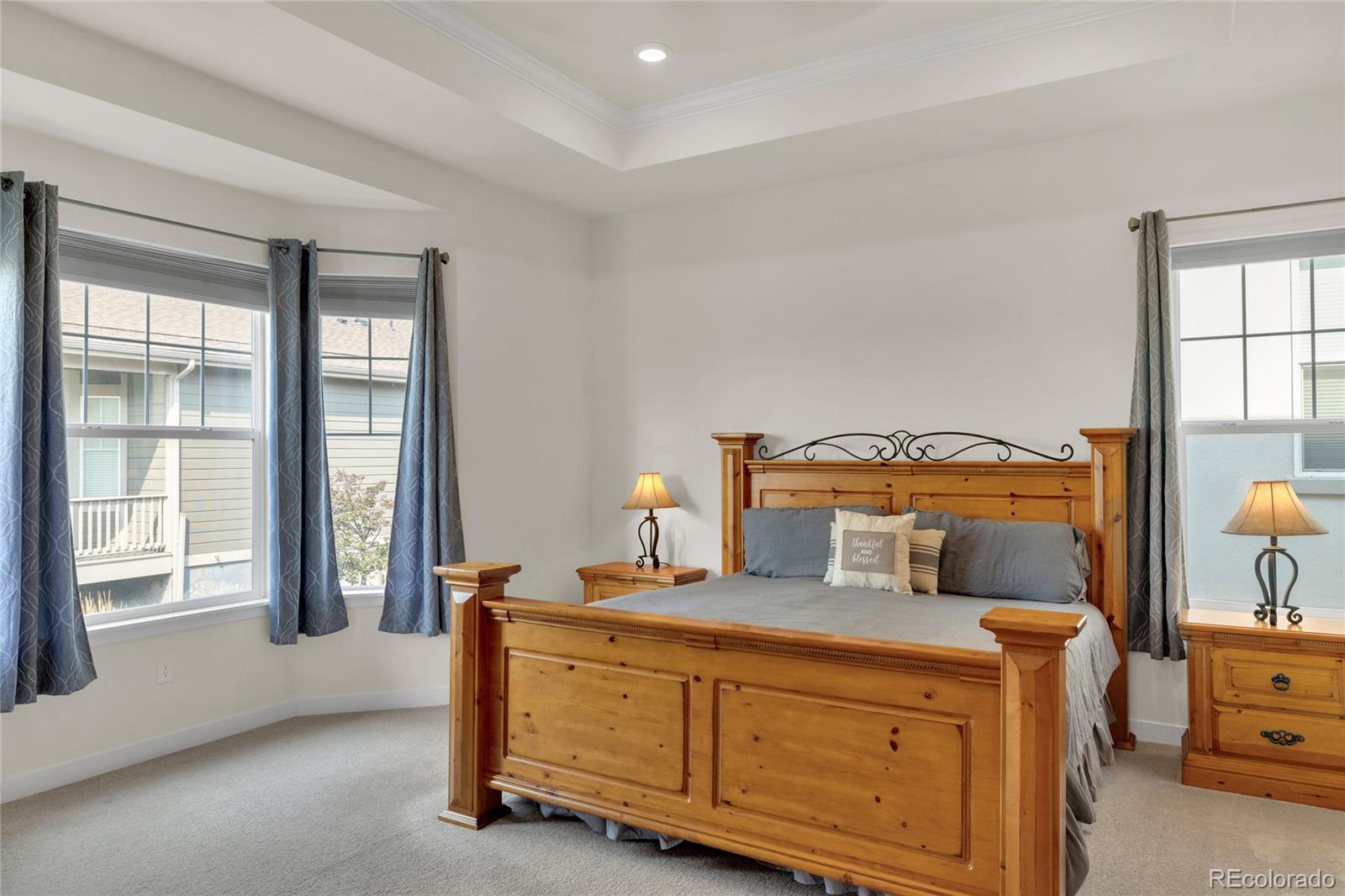 MLS Image #18 for 15651  xanthia court,brighton, Colorado