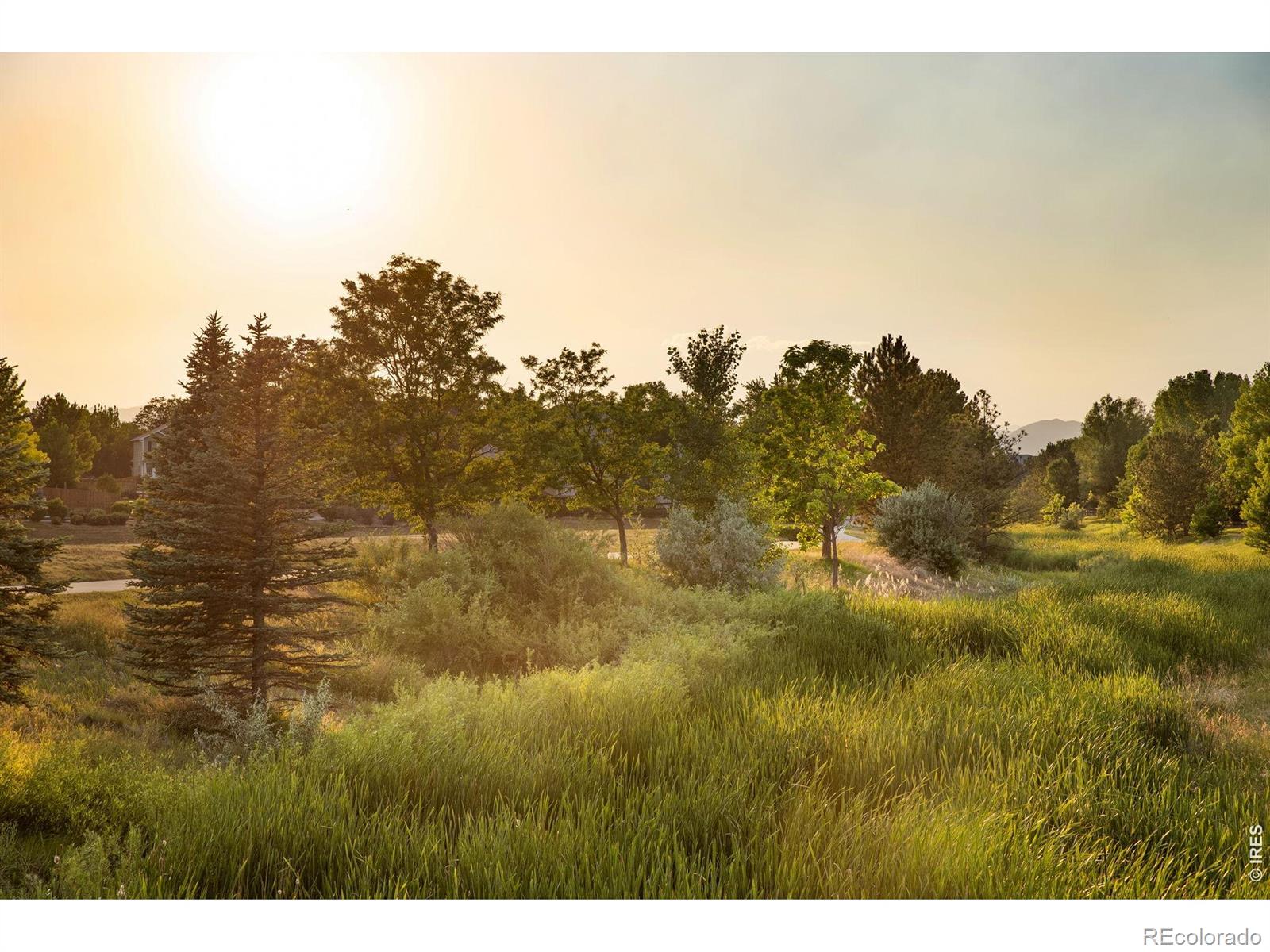 MLS Image #47 for 2213  santa fe drive,longmont, Colorado
