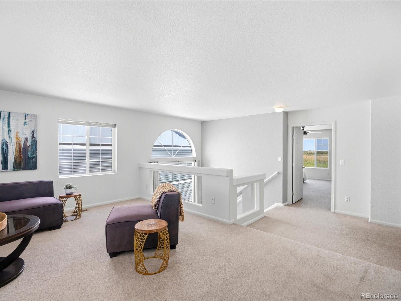 MLS Image #22 for 5444  perth court,denver, Colorado