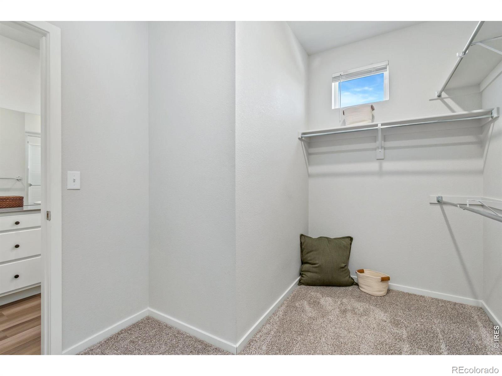MLS Image #14 for 533  vicot way,fort collins, Colorado