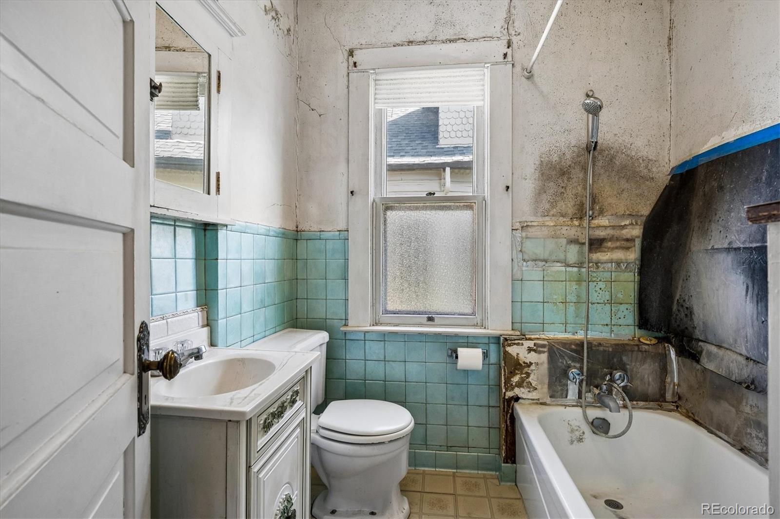 MLS Image #15 for 4271  green court,denver, Colorado