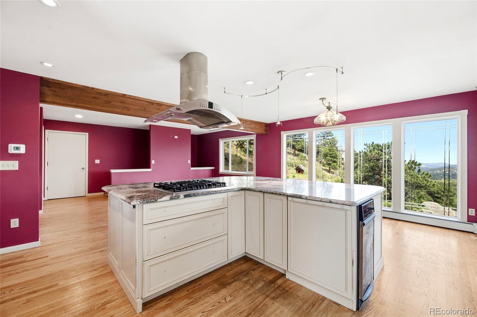 MLS Image #12 for 34086  cactus drive,evergreen, Colorado