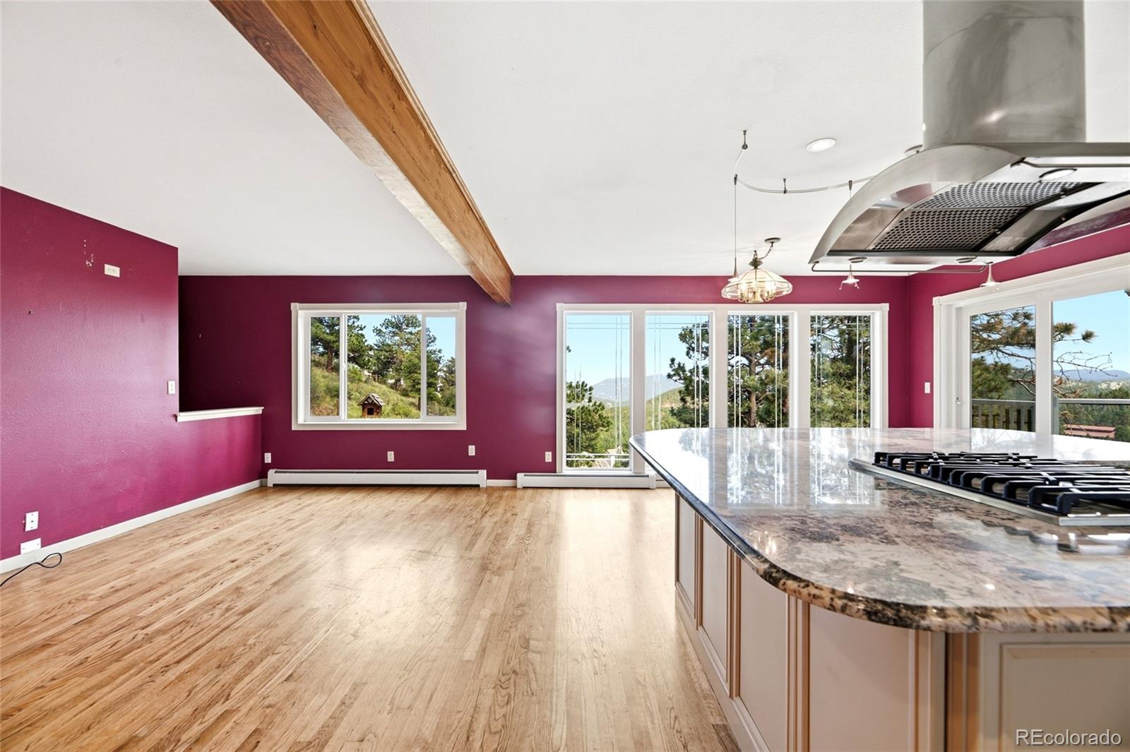 MLS Image #14 for 34086  cactus drive,evergreen, Colorado