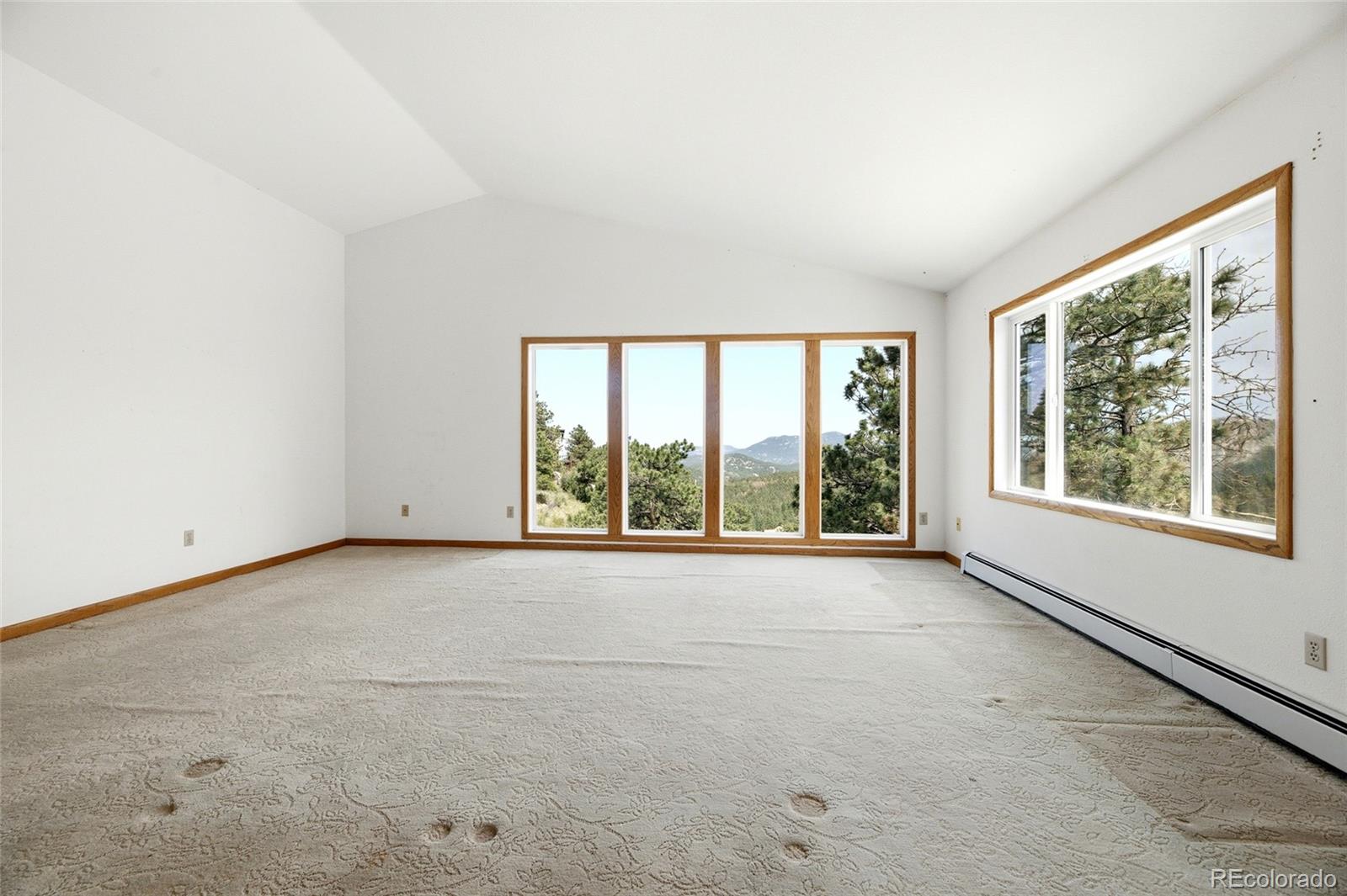 MLS Image #20 for 34086  cactus drive,evergreen, Colorado