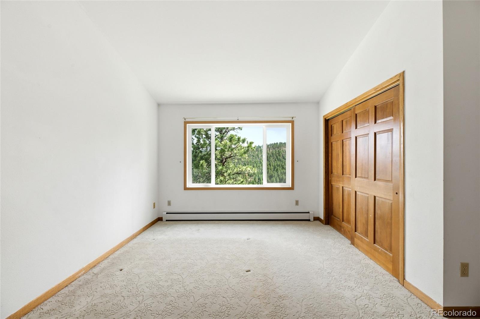 MLS Image #23 for 34086  cactus drive,evergreen, Colorado
