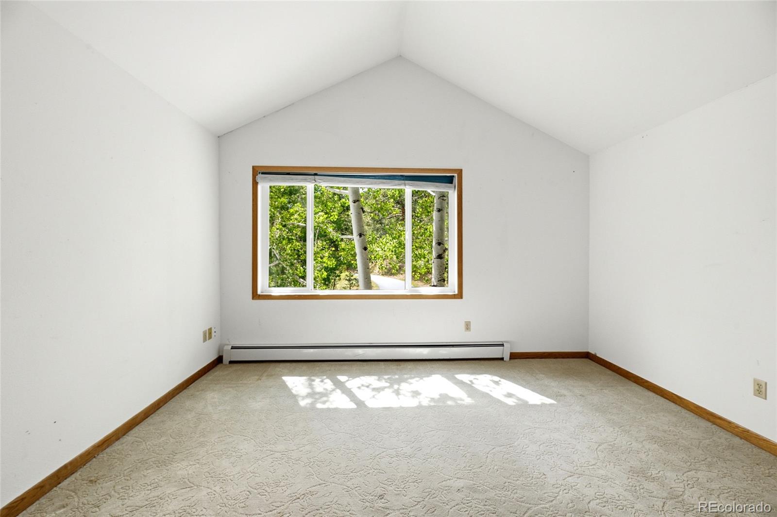 MLS Image #24 for 34086  cactus drive,evergreen, Colorado