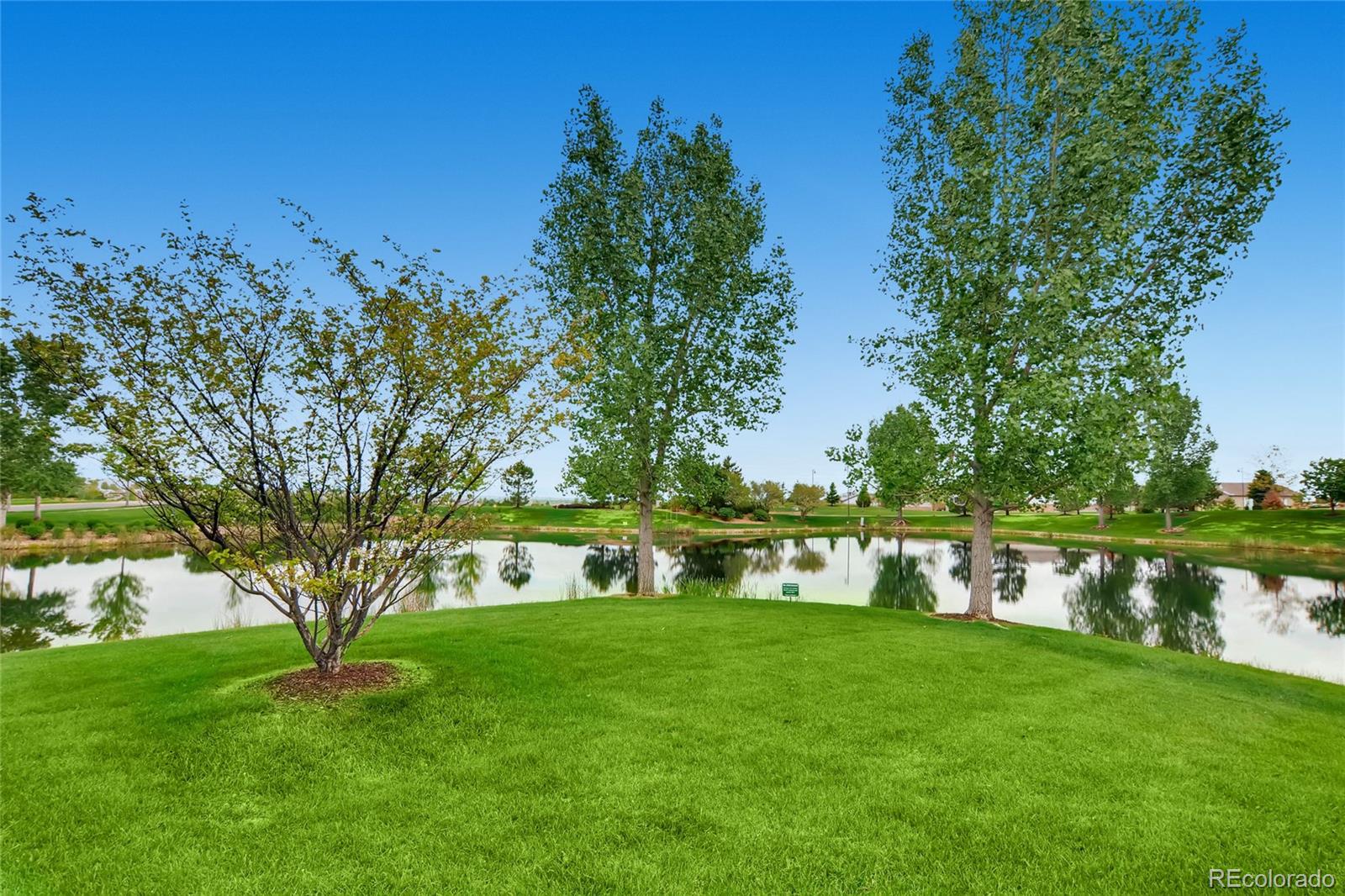 MLS Image #34 for 16551  antero circle,broomfield, Colorado